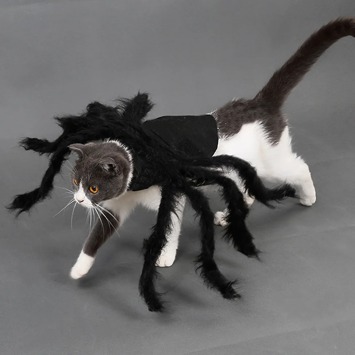 Костюми котка-man - Празнични костюми паяк - 3