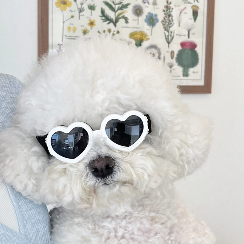 Модерни Слънчеви очила за кучета Пет Love, очила за очите, Реквизит за снимки, Аксесоари, Зоотовары, Котешки Очила за малки до средни кучета TPD01 - 0