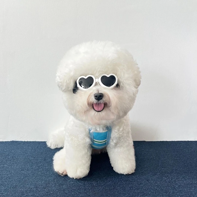 Модерни Слънчеви очила за кучета Пет Love, очила за очите, Реквизит за снимки, Аксесоари, Зоотовары, Котешки Очила за малки до средни кучета TPD01 - 1