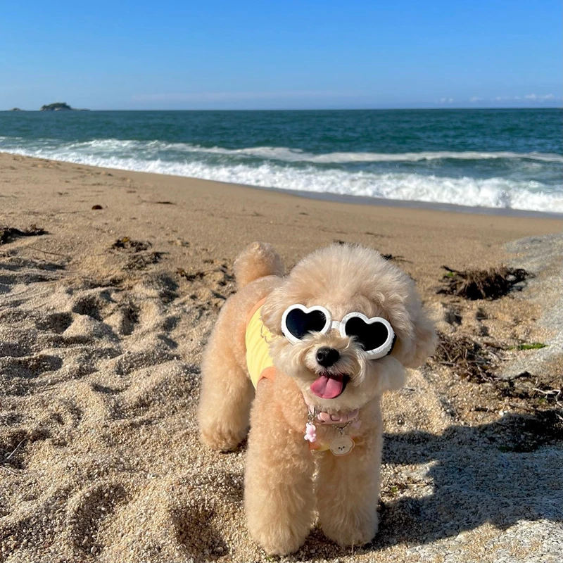 Модерни Слънчеви очила за кучета Пет Love, очила за очите, Реквизит за снимки, Аксесоари, Зоотовары, Котешки Очила за малки до средни кучета TPD01 - 2