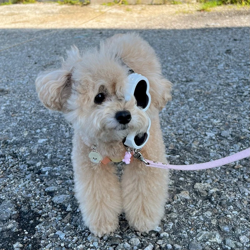 Модерни Слънчеви очила за кучета Пет Love, очила за очите, Реквизит за снимки, Аксесоари, Зоотовары, Котешки Очила за малки до средни кучета TPD01 - 5
