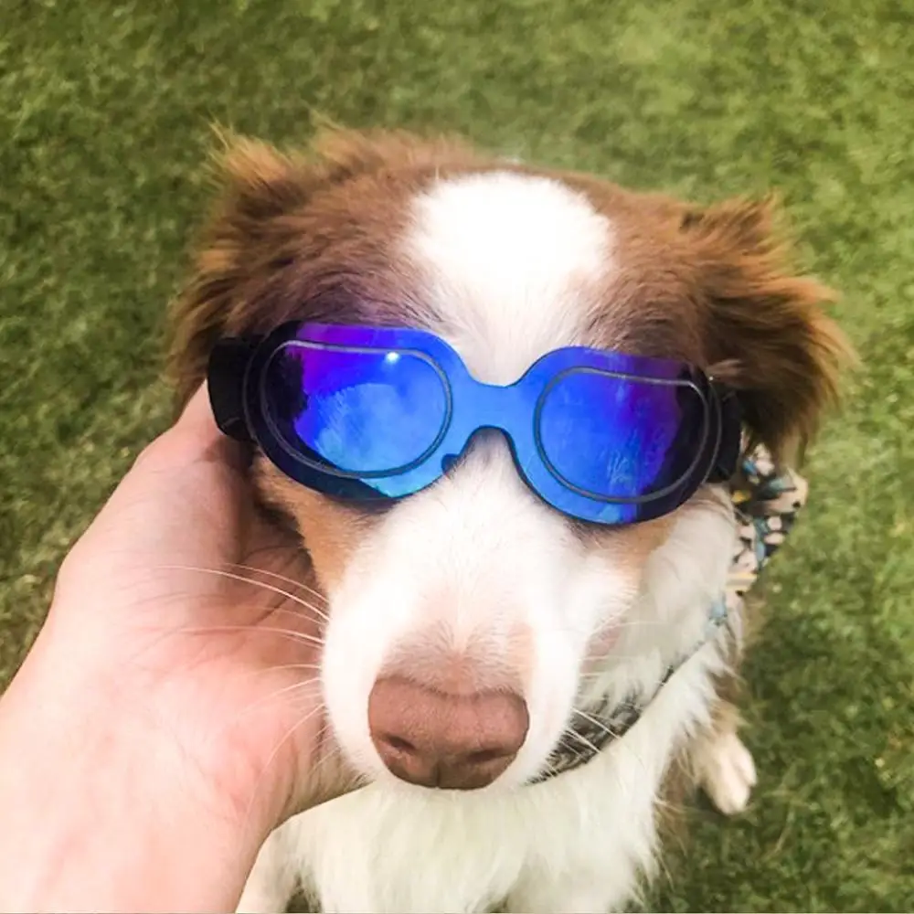 Слънчеви очила за домашни кучета, Регулируеми очила за малки, Средни и големи кучета, котки, кученца, Слънчеви очила, Очила за кучета на открито, играчки за домашни любимци - 2