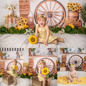 Есента на слънчогледа Щанд Снимка фон Детски портрет подпори за фото студио Детска торта за рожден ден на Разбития фон Кърпа за фотография