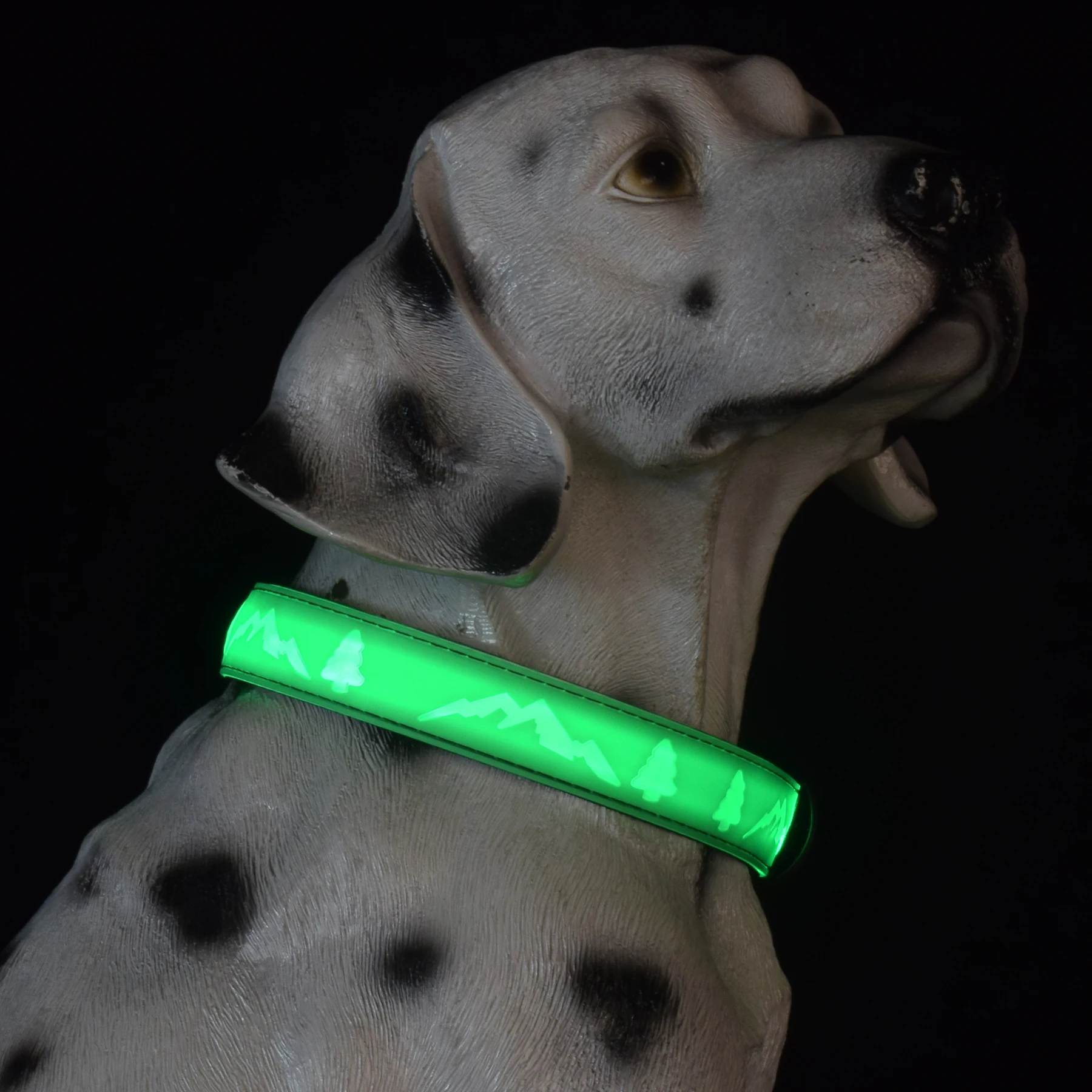 Нейлоновое светлината през нощта Сигурно Светлинен мигающее колие за кучета, Регулируема led светлини, Нашийници и каишки за домашни любимци - 1