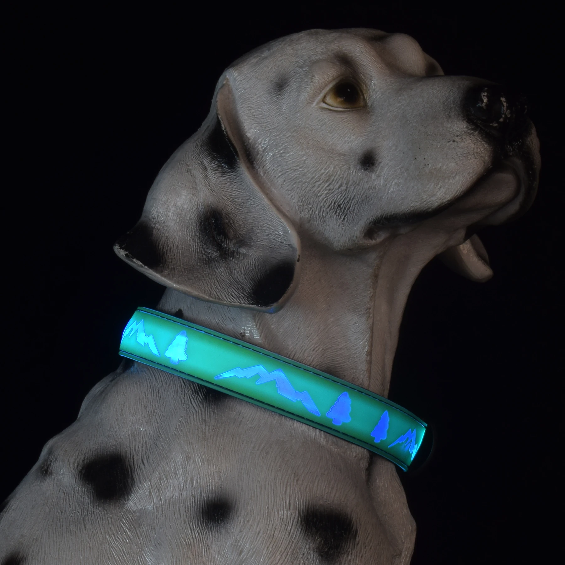 Нейлоновое светлината през нощта Сигурно Светлинен мигающее колие за кучета, Регулируема led светлини, Нашийници и каишки за домашни любимци - 2
