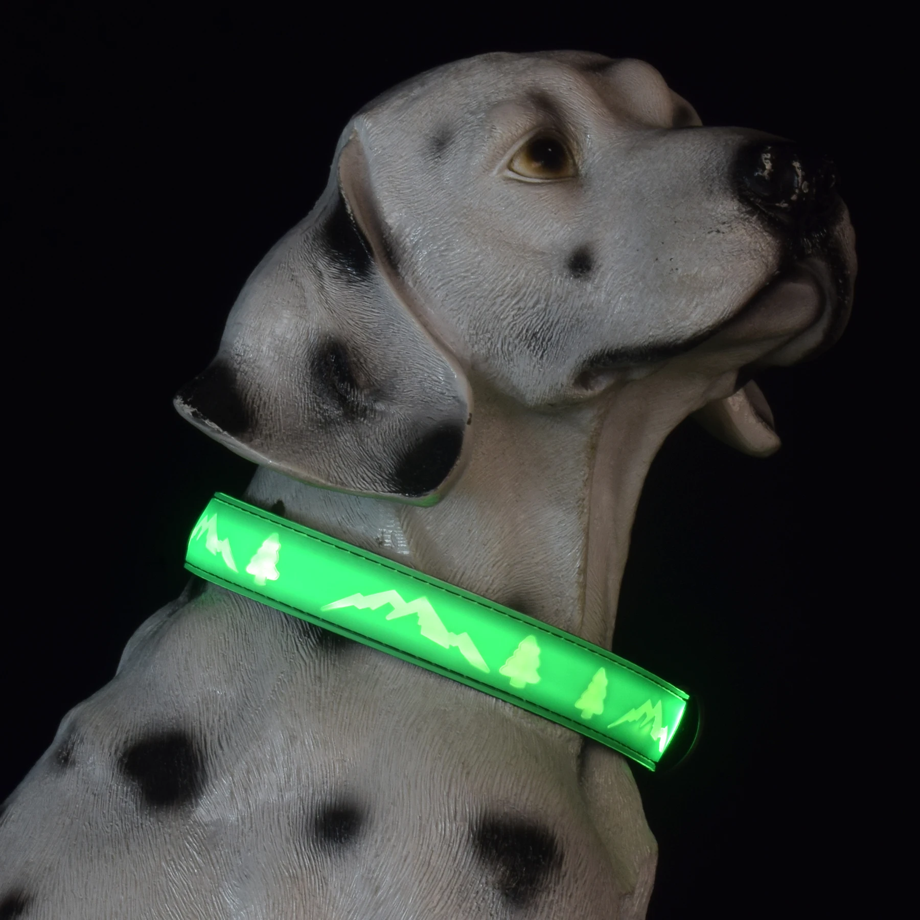 Нейлоновое светлината през нощта Сигурно Светлинен мигающее колие за кучета, Регулируема led светлини, Нашийници и каишки за домашни любимци - 3