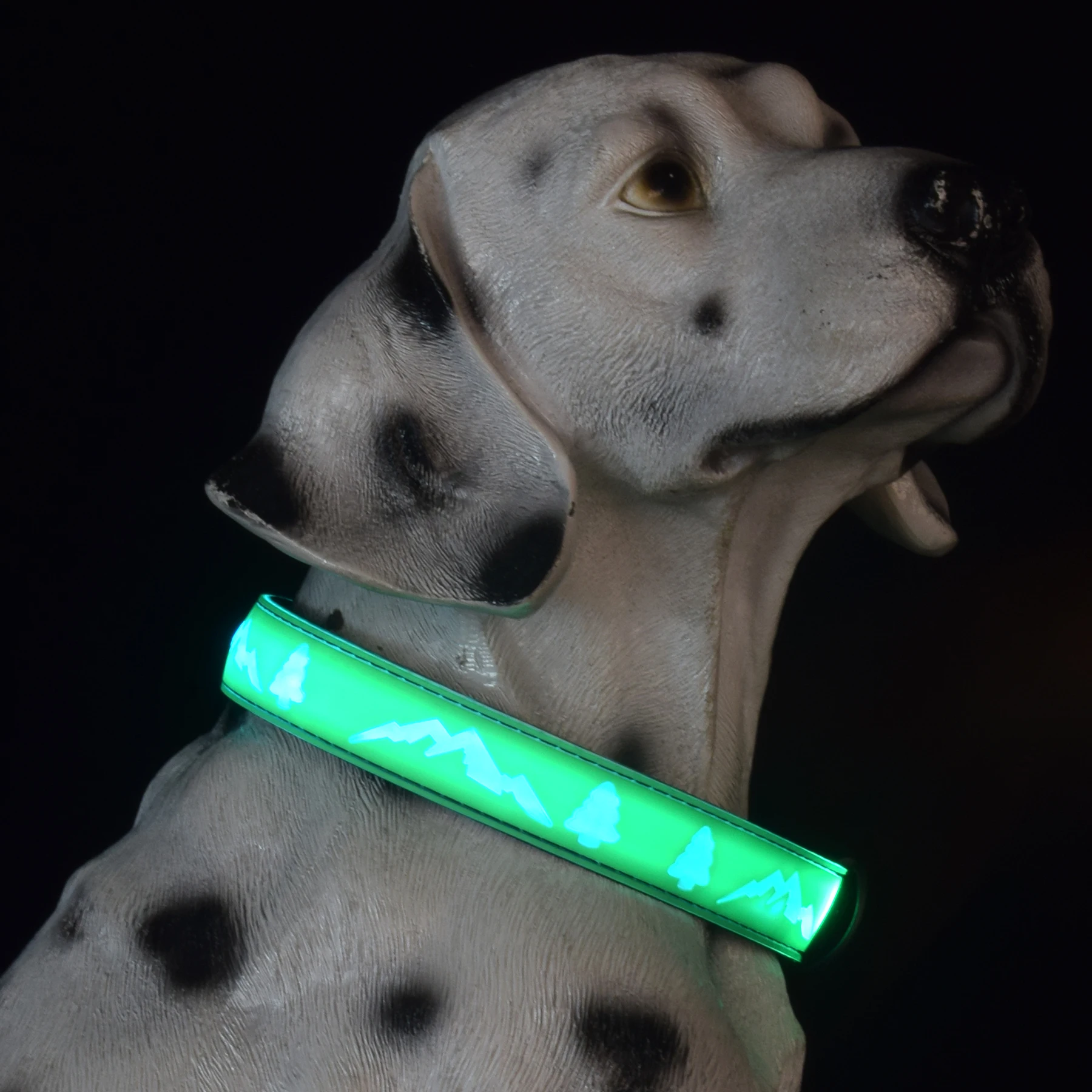 Нейлоновое светлината през нощта Сигурно Светлинен мигающее колие за кучета, Регулируема led светлини, Нашийници и каишки за домашни любимци - 5